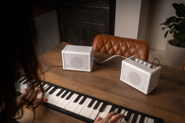Carry-on Mini Speaker