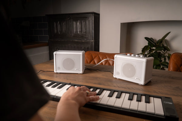 Carry-on Mini Extension Speaker